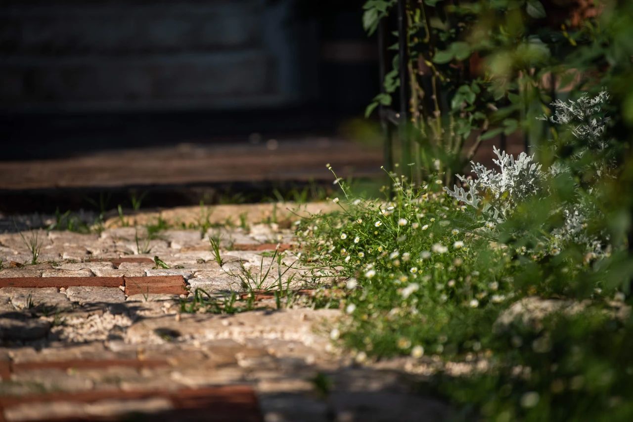 乌托邦式的花园别墅丨中国成都丨成都尺介建设有限公司-5