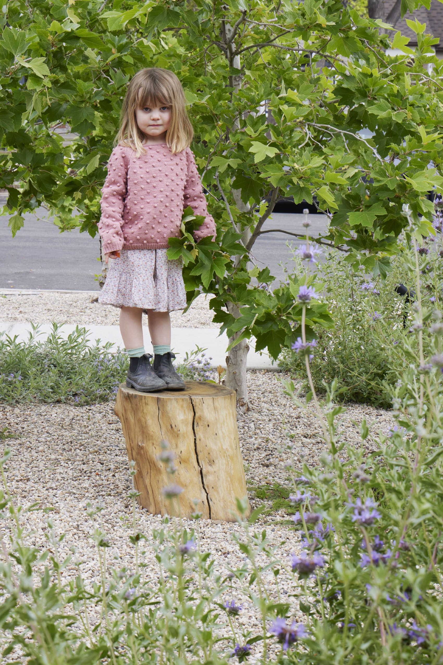 用时间酝酿，为孩子们创造的野趣花园丨美国丨TERREMOTO-24