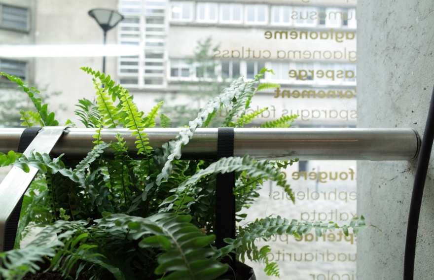 南特大学研究中心绿色立面系统 | 绿意盎然的水培植物模块-17