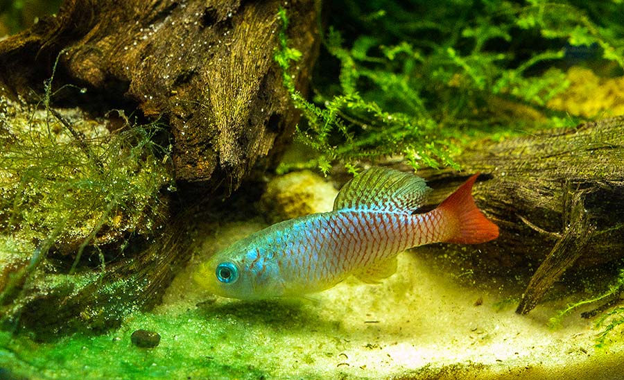 “Moskvarium”海洋馆丨俄罗斯莫斯科丨Aqua Logo Engineering-64