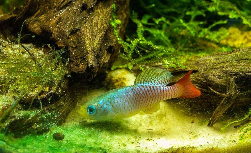 “Moskvarium”海洋馆丨俄罗斯莫斯科丨Aqua Logo Engineering-64