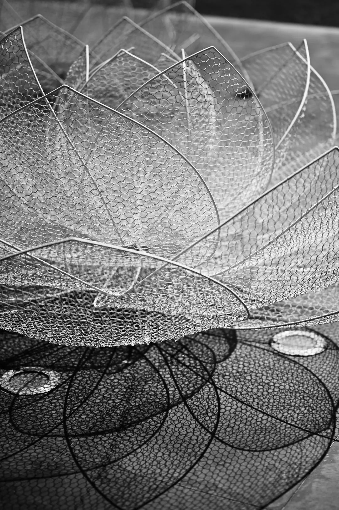 三水荷花世界,云水荷香间的归心之所-36