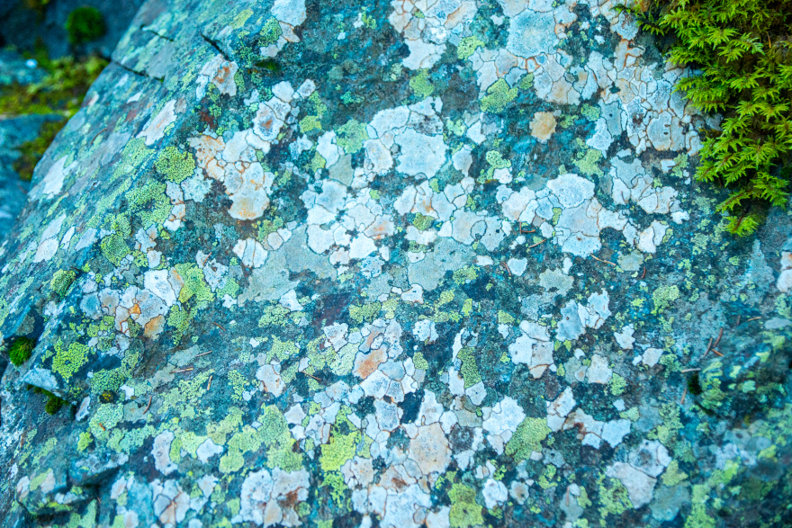 徒步至Lac de Brouffier丨法国-2