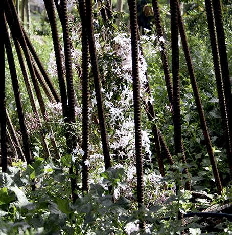 特里斯坦小丘公园 | 火山地貌与环保绿肺的共生设计-9