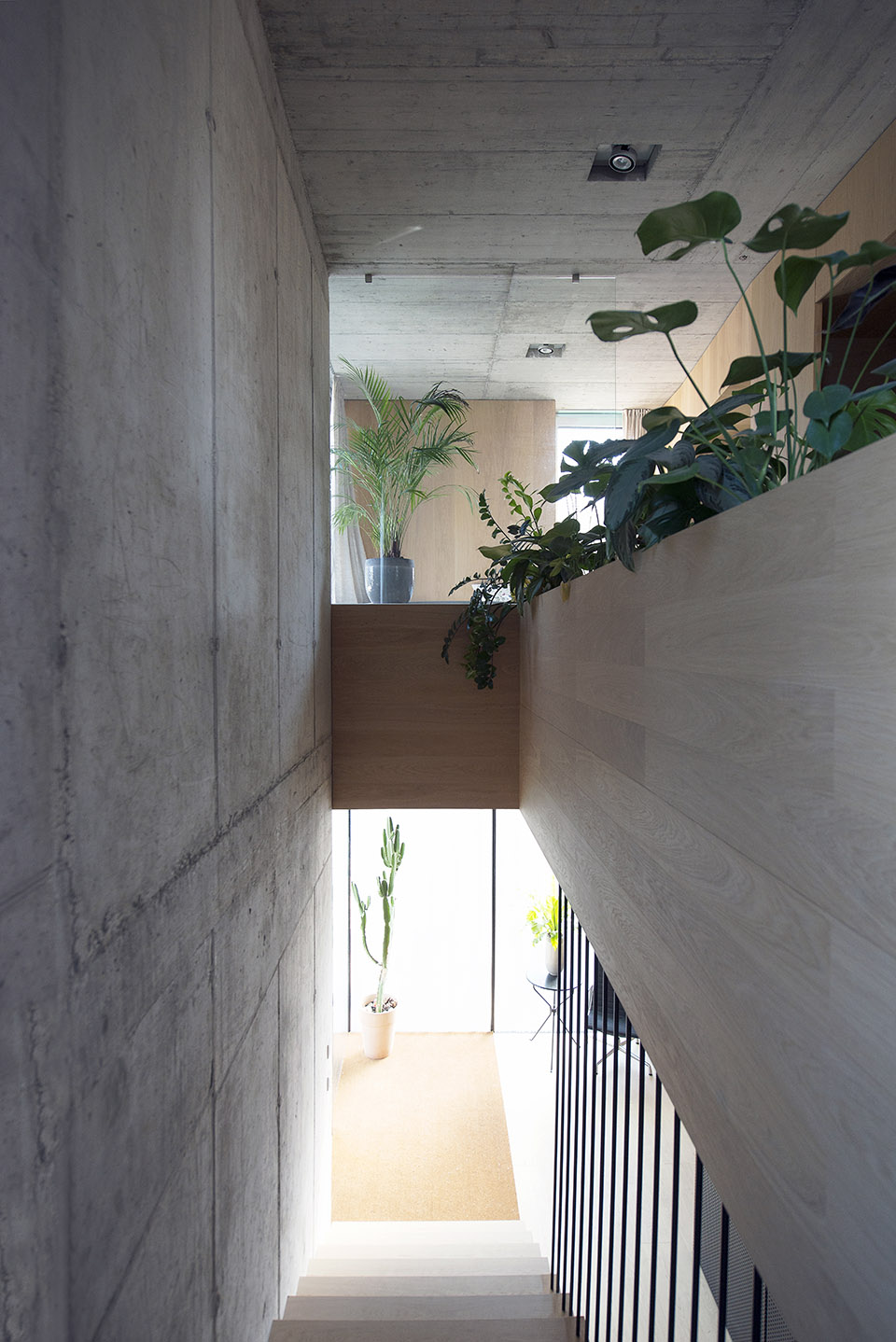 斯洛文尼亚十字信封别墅-38