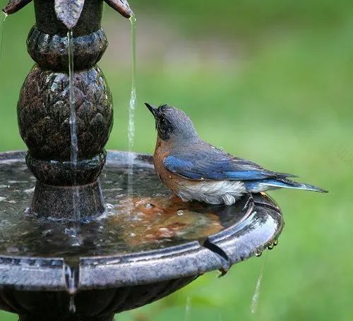 夏日庭院水景设计 | 营造清凉的休闲空间-20