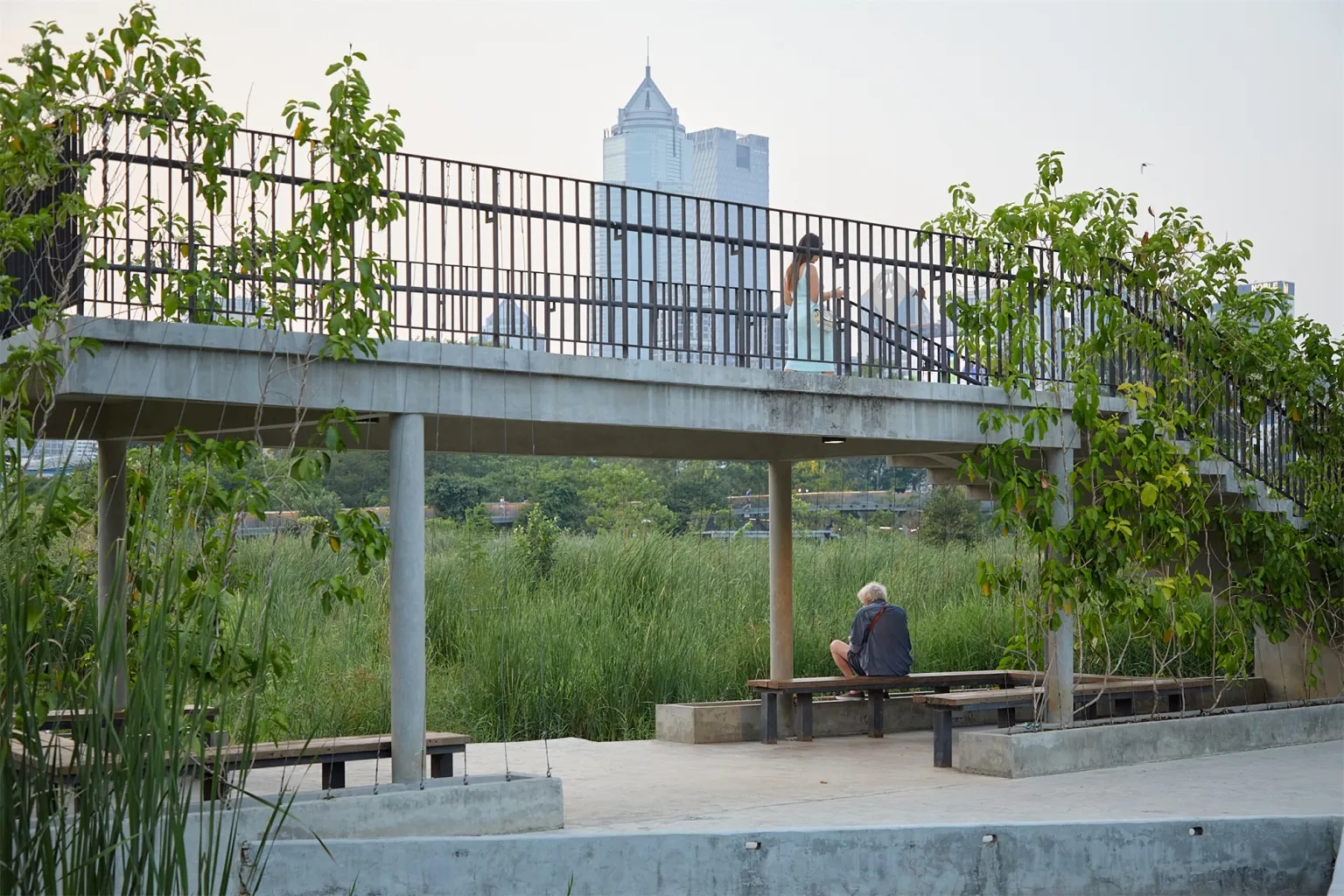 曼谷班加科特森林公园丨泰国曼谷丨土人景观-39