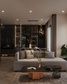 MR.THANG APARTMENT - BLACK HOUSE
