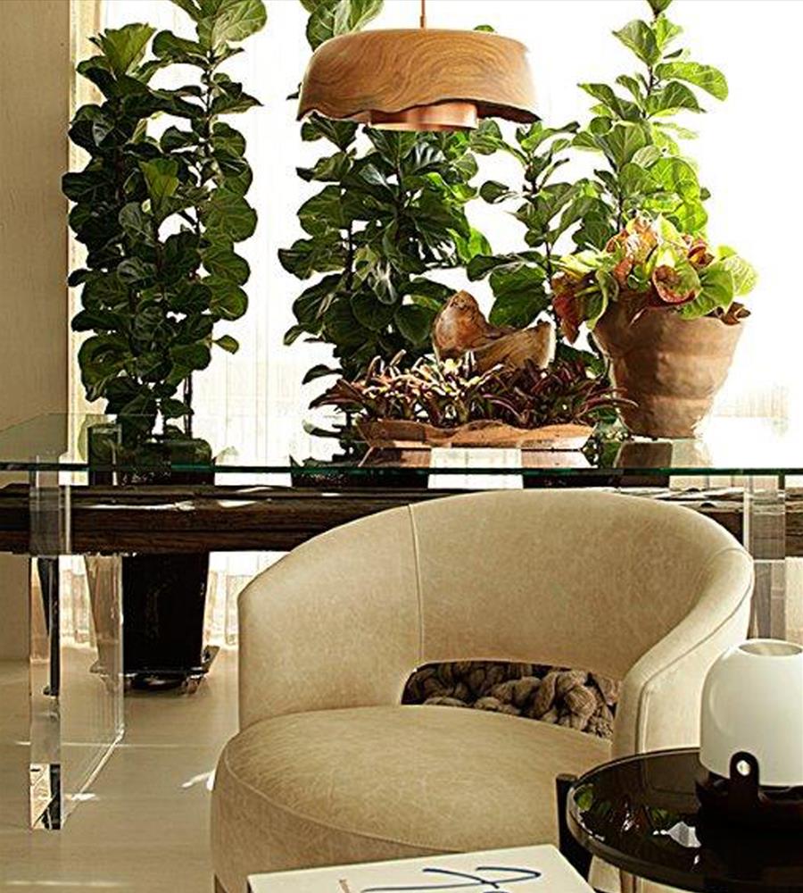 巴西 Chácara Klabin 公寓-2