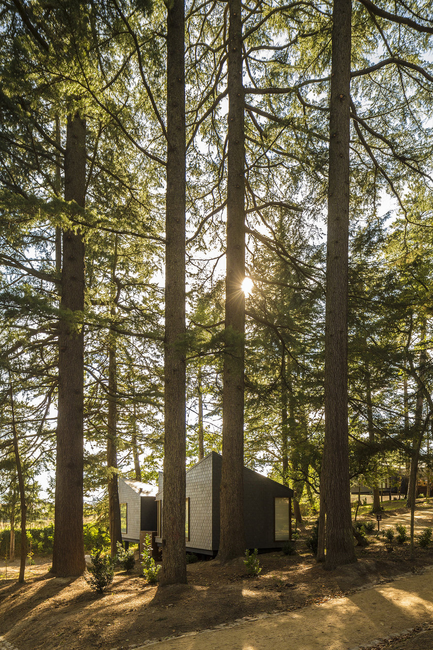 葡萄牙生态住宅-23