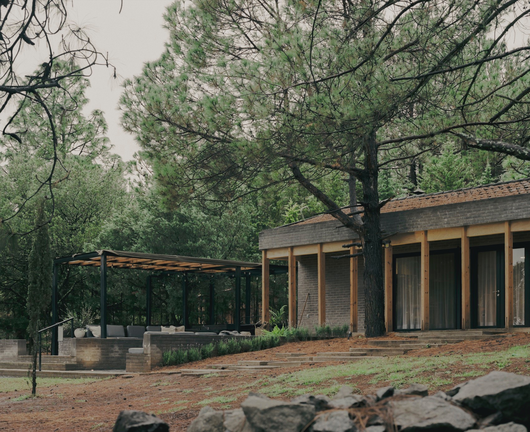 Madí 住宅丨墨西哥丨Doméstico Estudio-4