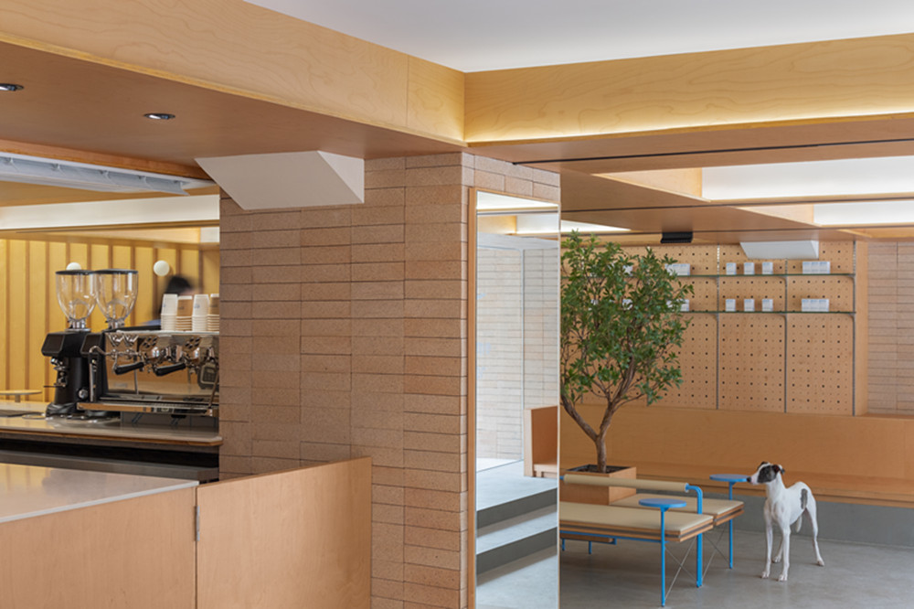 pawer land人宠社交空间丨中国广州丨Informal异规设计-37