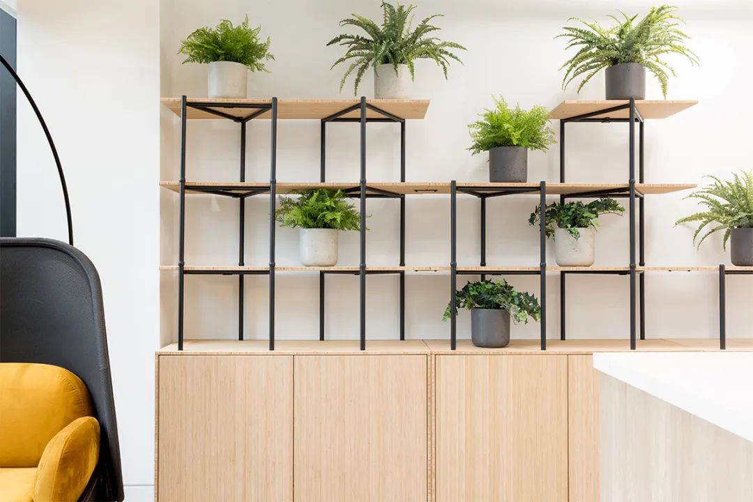 NetApp 英国温莎办公室设计丨DENTON-62