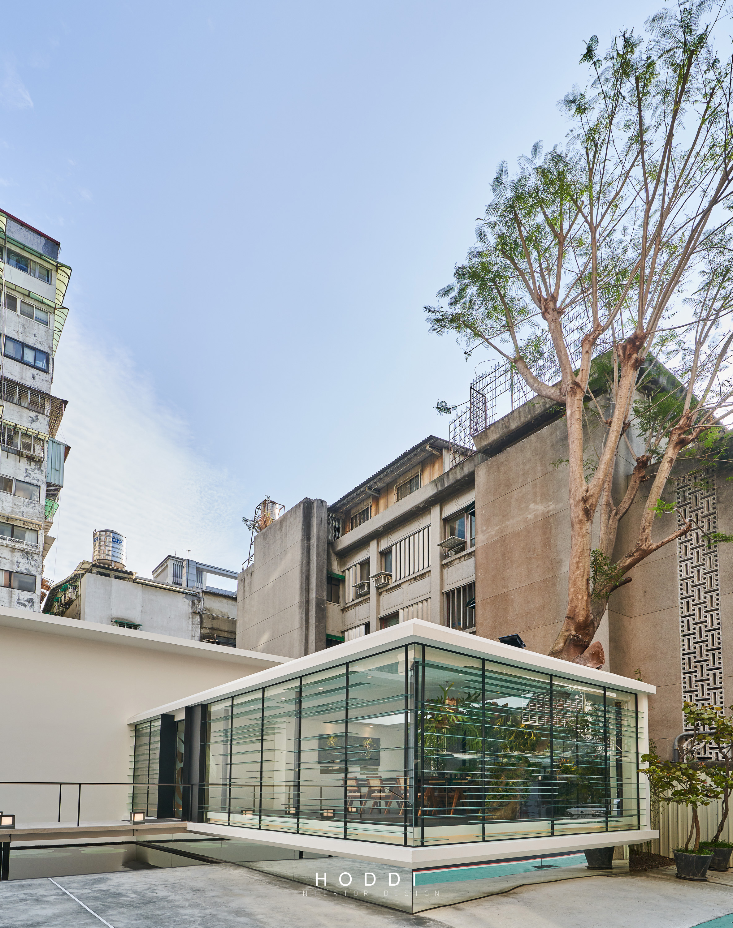 绿意盎然，古树下的茶室设计-3