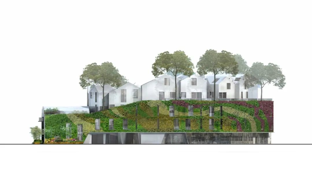 加州比佛利山庄“园艺屋”多功能绿色住宅设计-37