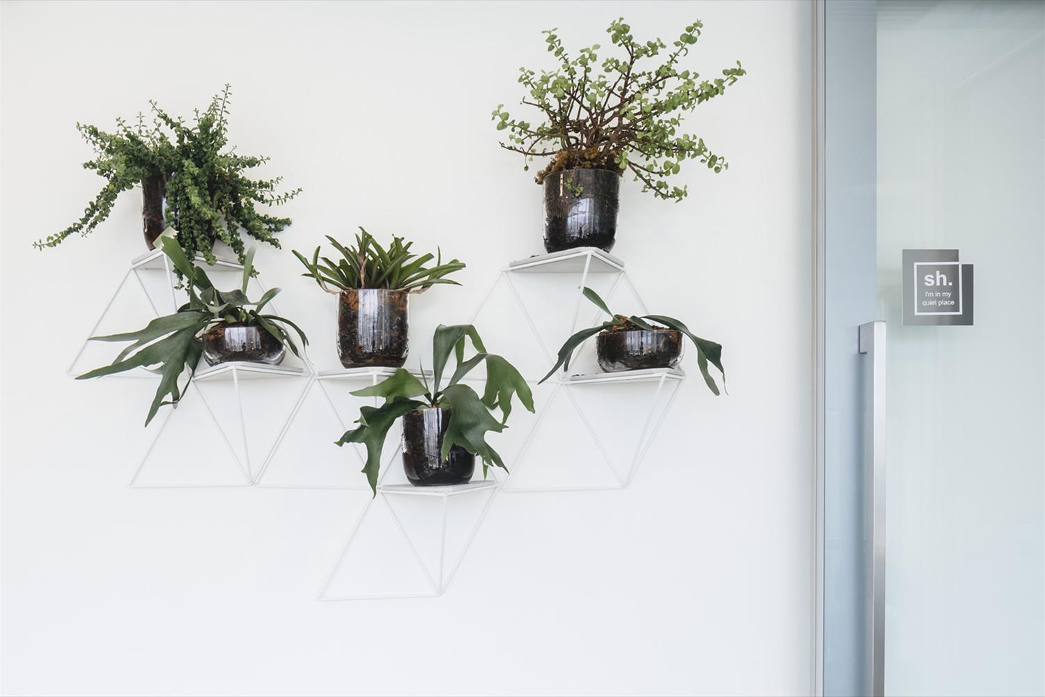 巴西 SP 企业办公室设计 | 现代、简约、环保-7