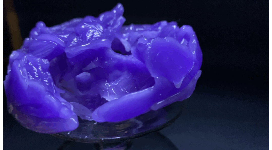 空间与自然元素-64