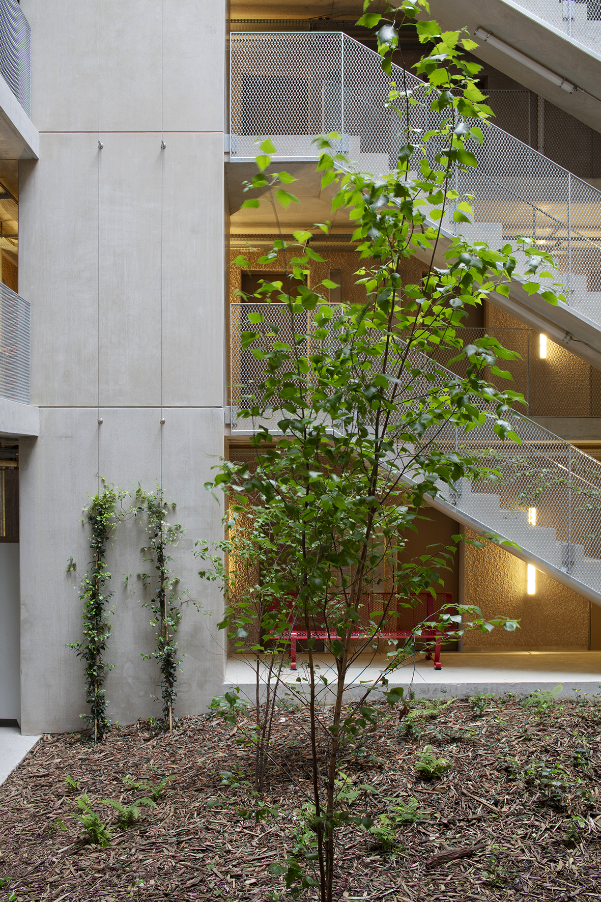 丨法国丨A6A,Cetab,Borteq-14