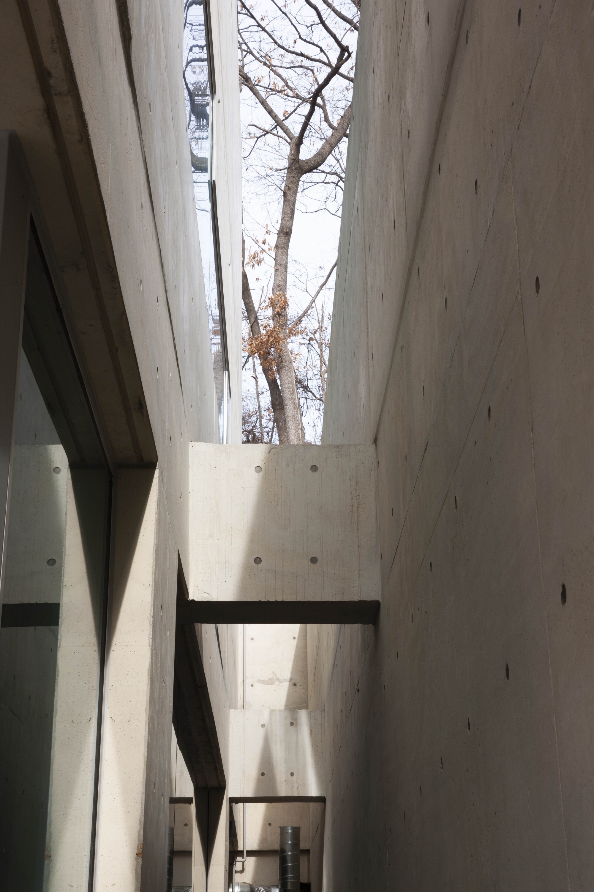 Cormeum Café and Neighborhood Facility / KARO Architekten-21