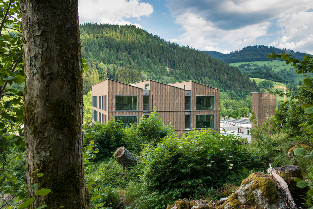 四层木材混合办公大楼丨Harter + Kanzler-4