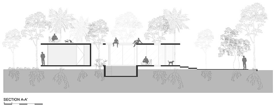 屋中森林丨巴拉圭丨Equipo de Arquitectura-61