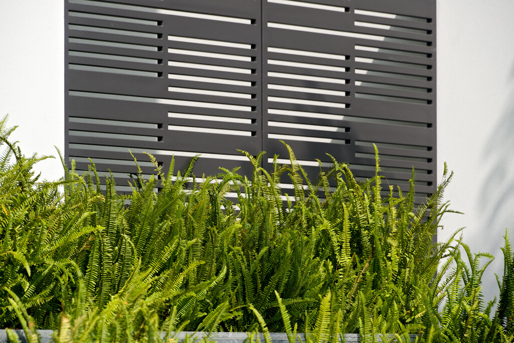 墨西哥“树屋”设计-30