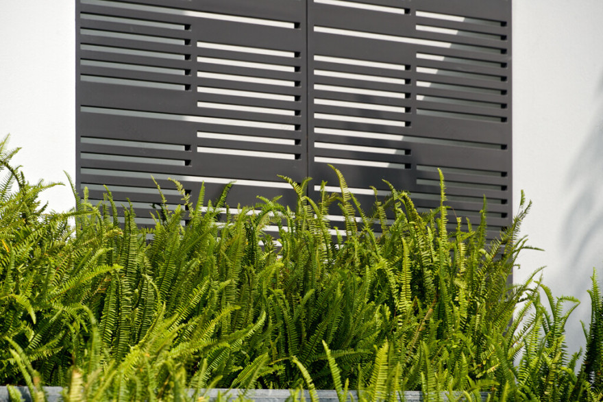 墨西哥“树屋”设计-30