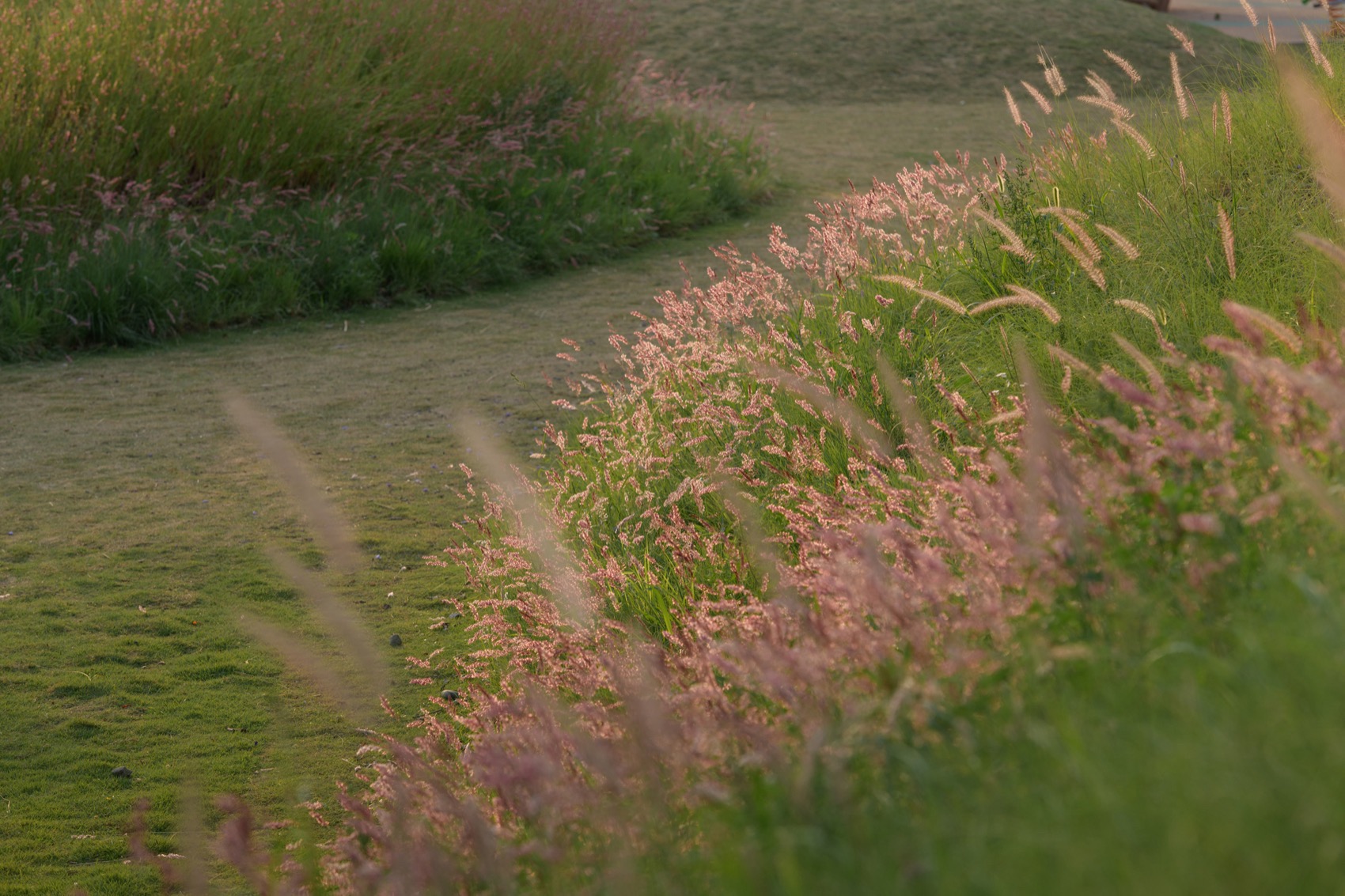 成都趣野公园（屋头公园）丨中国成都丨大小景观-216