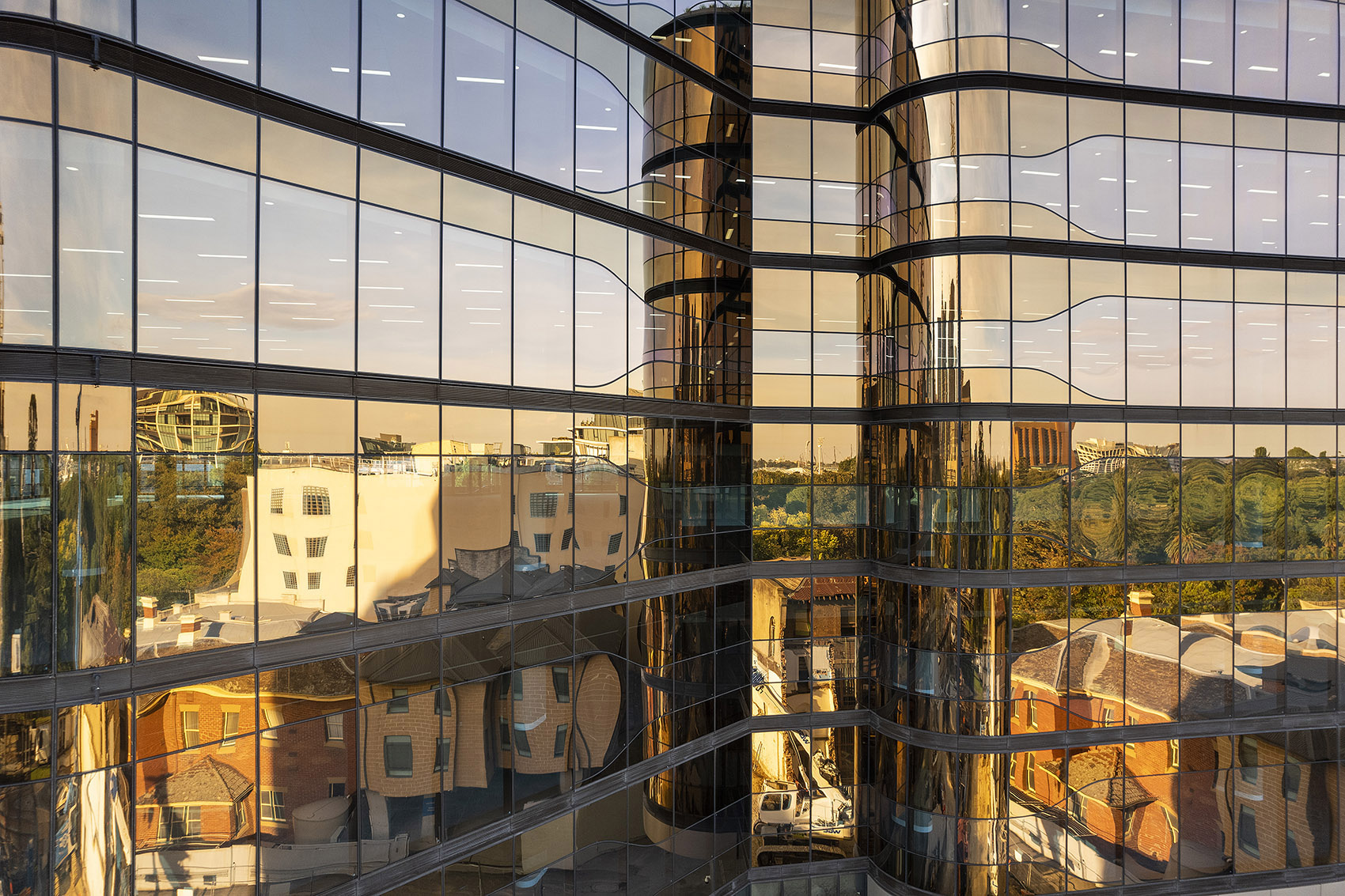 澳大利亚维多利亚大道 200 号大楼丨澳大利亚墨尔本丨Bower Bird-15