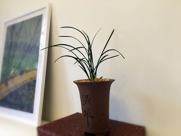 花最少的钱提升出租屋的逼格-39