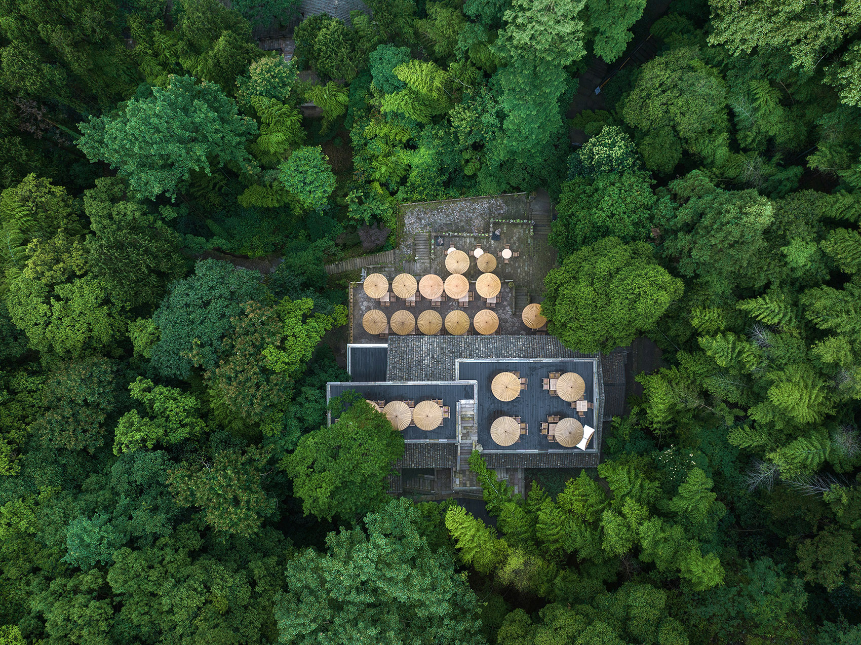 雁荡山风景区:业态复活与更新（山林系列）丨中国温州丨慢珊瑚设计-16