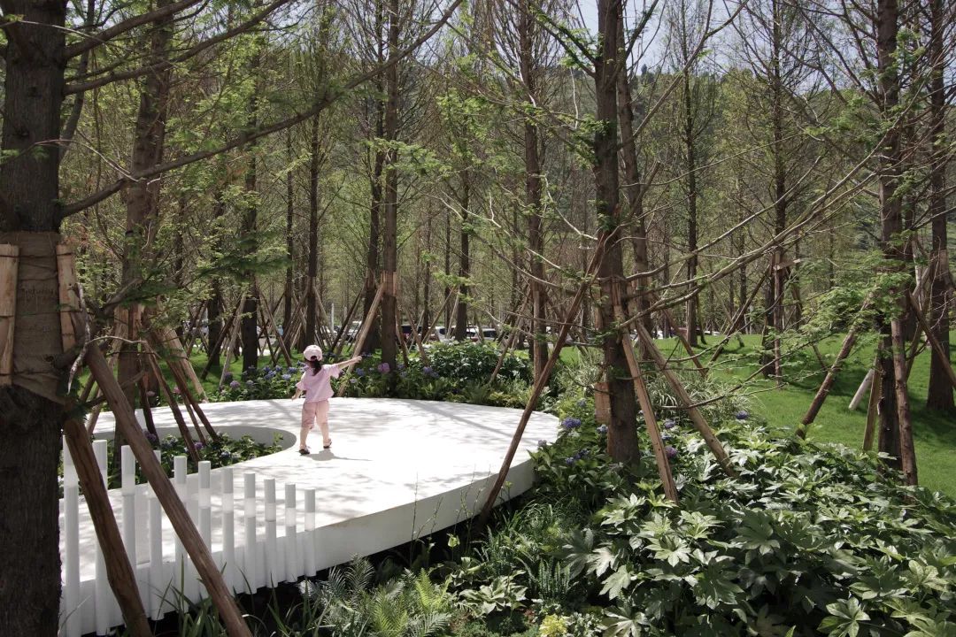 抚仙湖星空小镇 | 生态修复的人与自然和谐共生典范-30