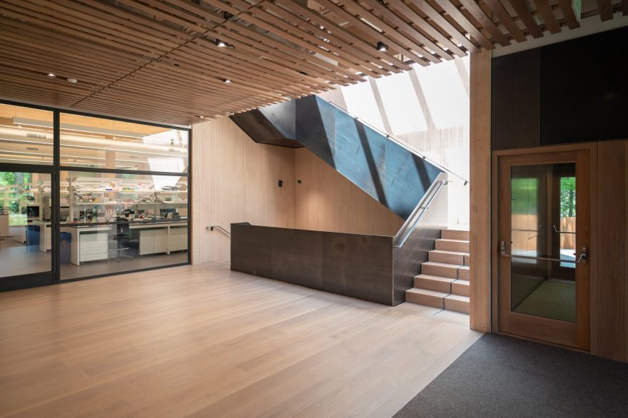 Adimab研究大楼丨黎巴嫩-11