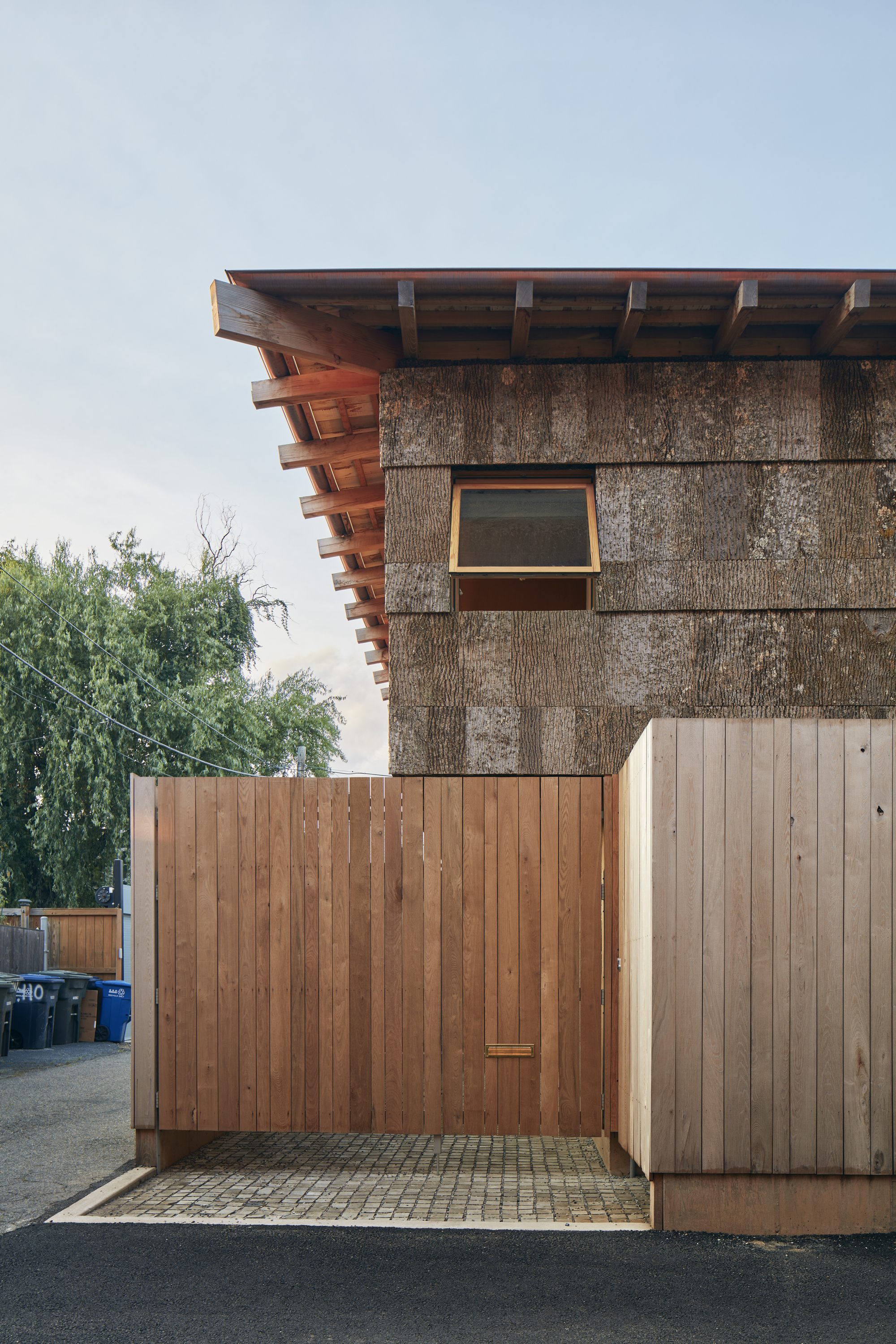 杨树丛丨美国华盛顿丨BLDUS-36