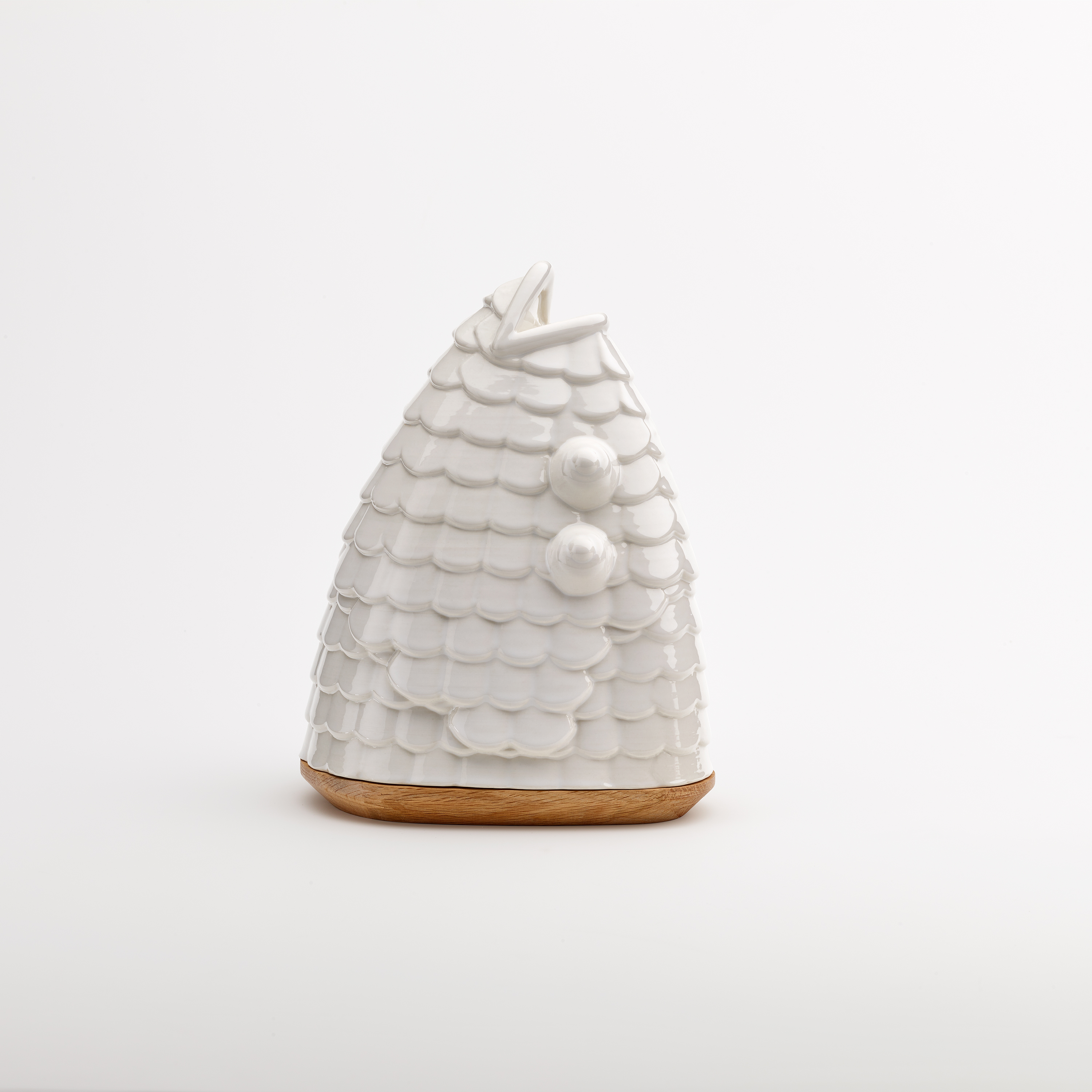 PECES — arquimaña-11