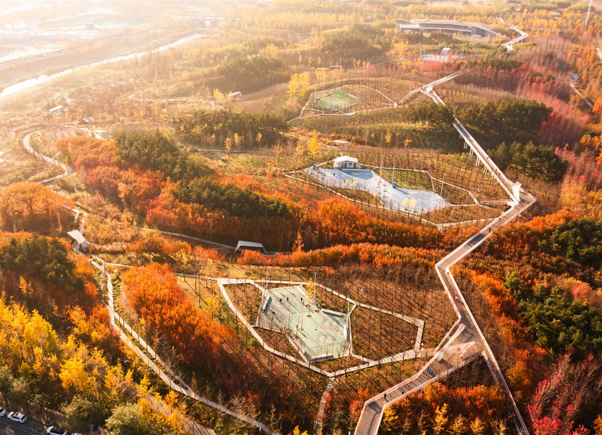 西安雁南公园（二期）丨中国西安丨土人设计（Turenscape）-9