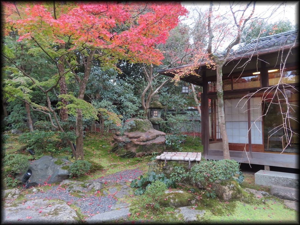 南禅寺参道菊水·红叶之庭园丨七代目小川治兵衛-41