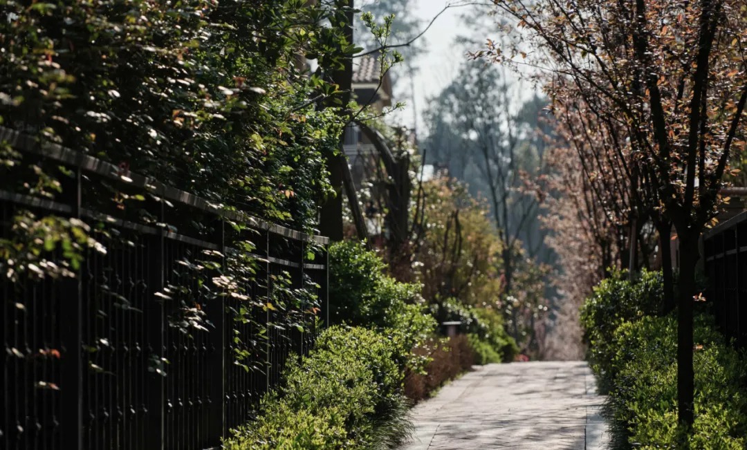 重庆中海·黎香湖别墅区景观丨中国重庆丨伯立森景观-25