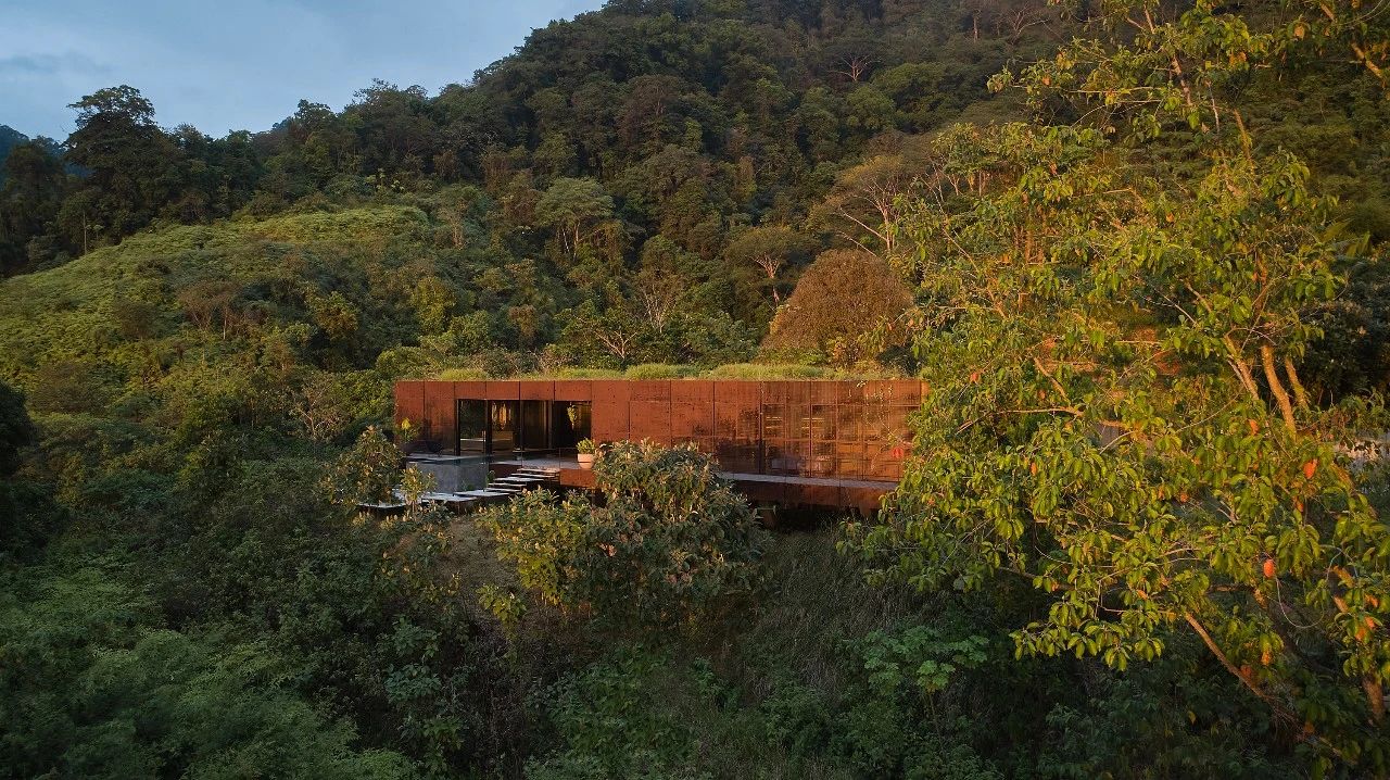 哥斯达黎加丛林中的艺术度假天堂-53