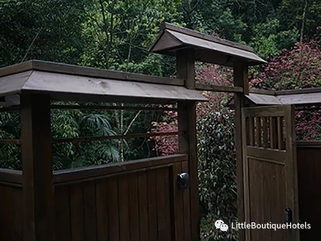 青城山坐忘森林酒店 | 一步一禅,一宿一悟的禅意度假胜地-69