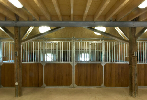 Hardenberg动物诊所项目-14