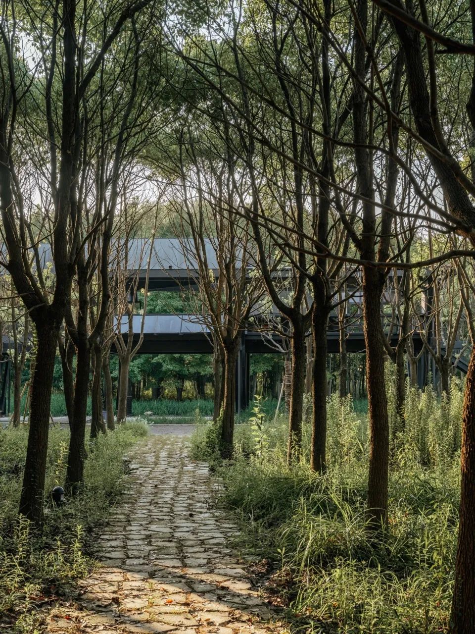 神奇建筑新作｜苏州太仓栋梁轩-147