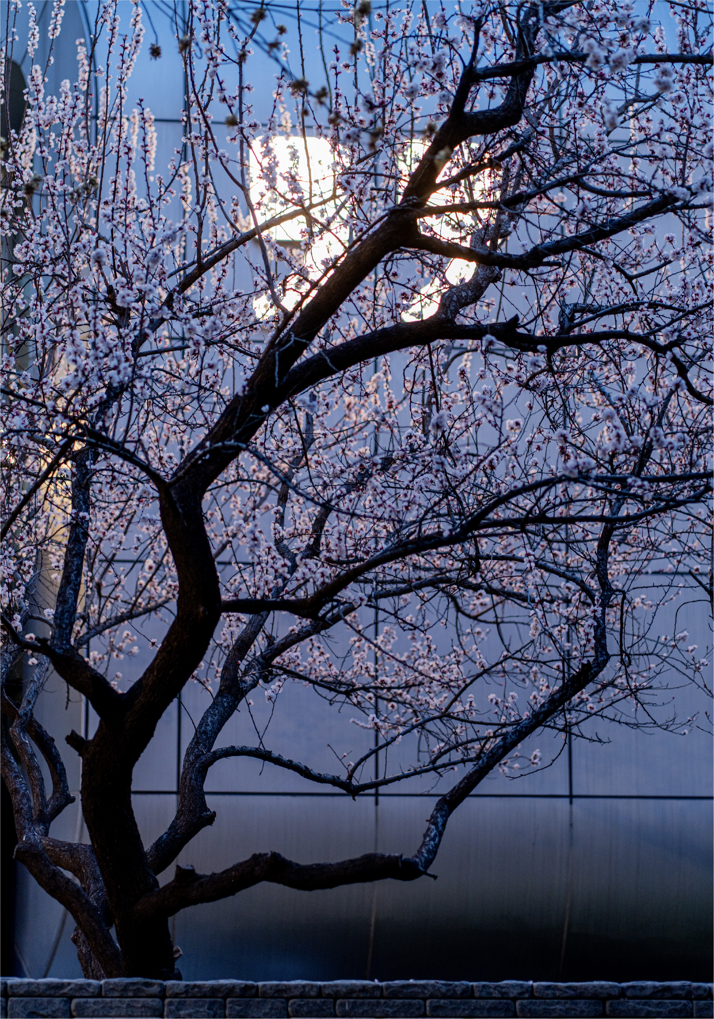 豆豆的品牌标识故事-13