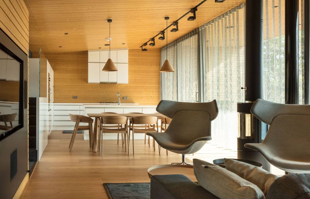 芬兰格里斯托二世别墅-14