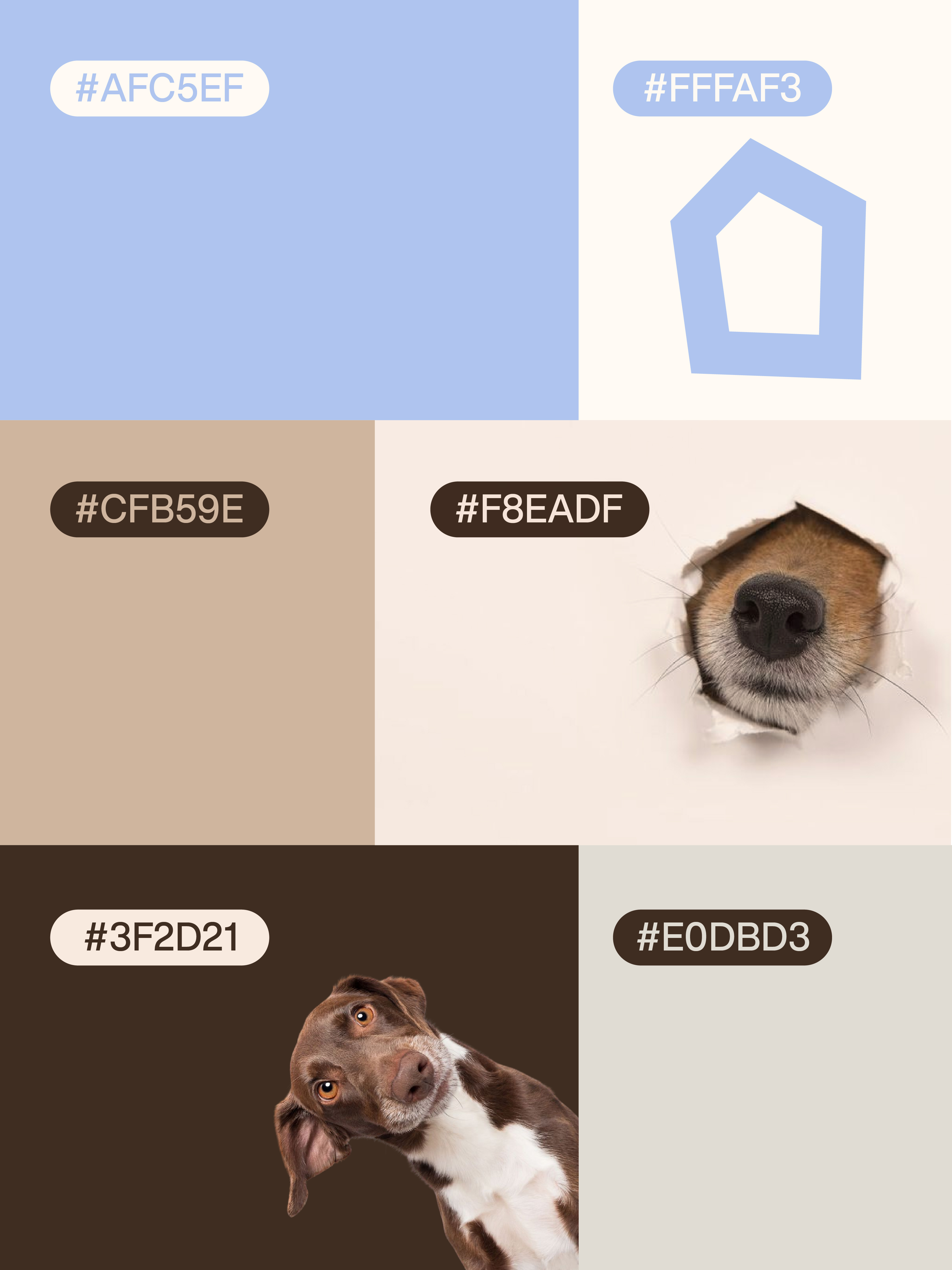 PUGO·宠物友好复合空间设计丨中国上海-7