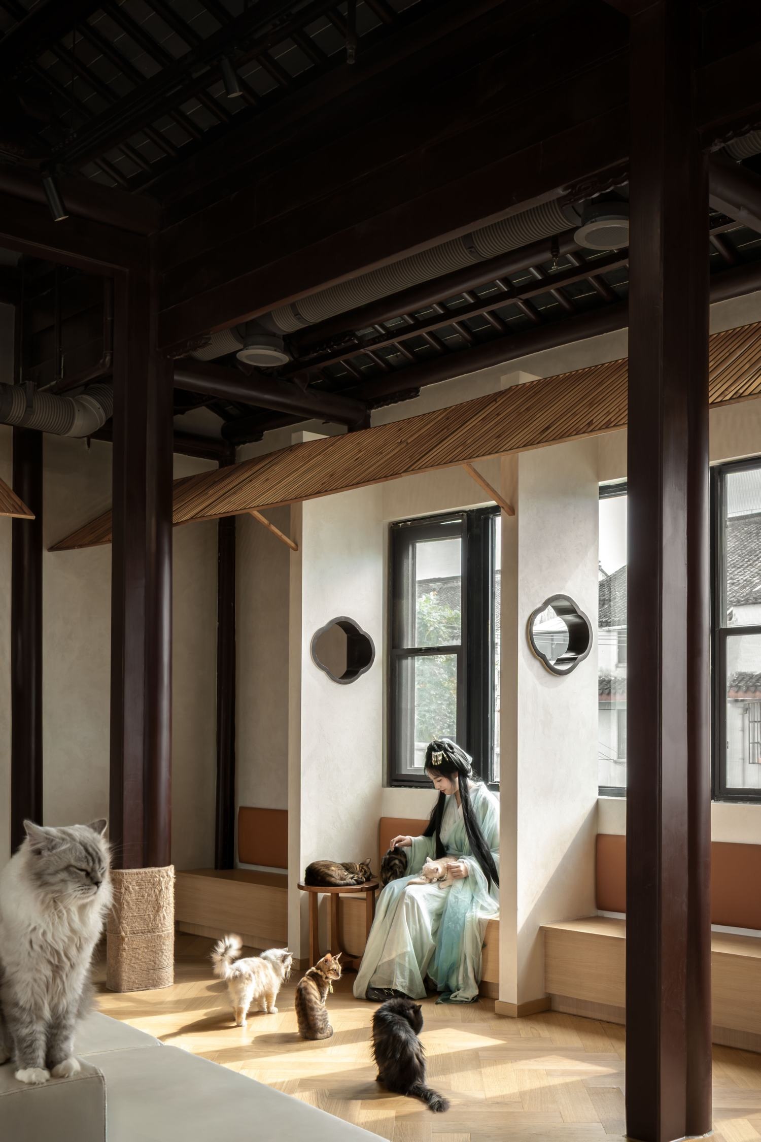 苏州平江老街的萌宠空间丨平介设计-40