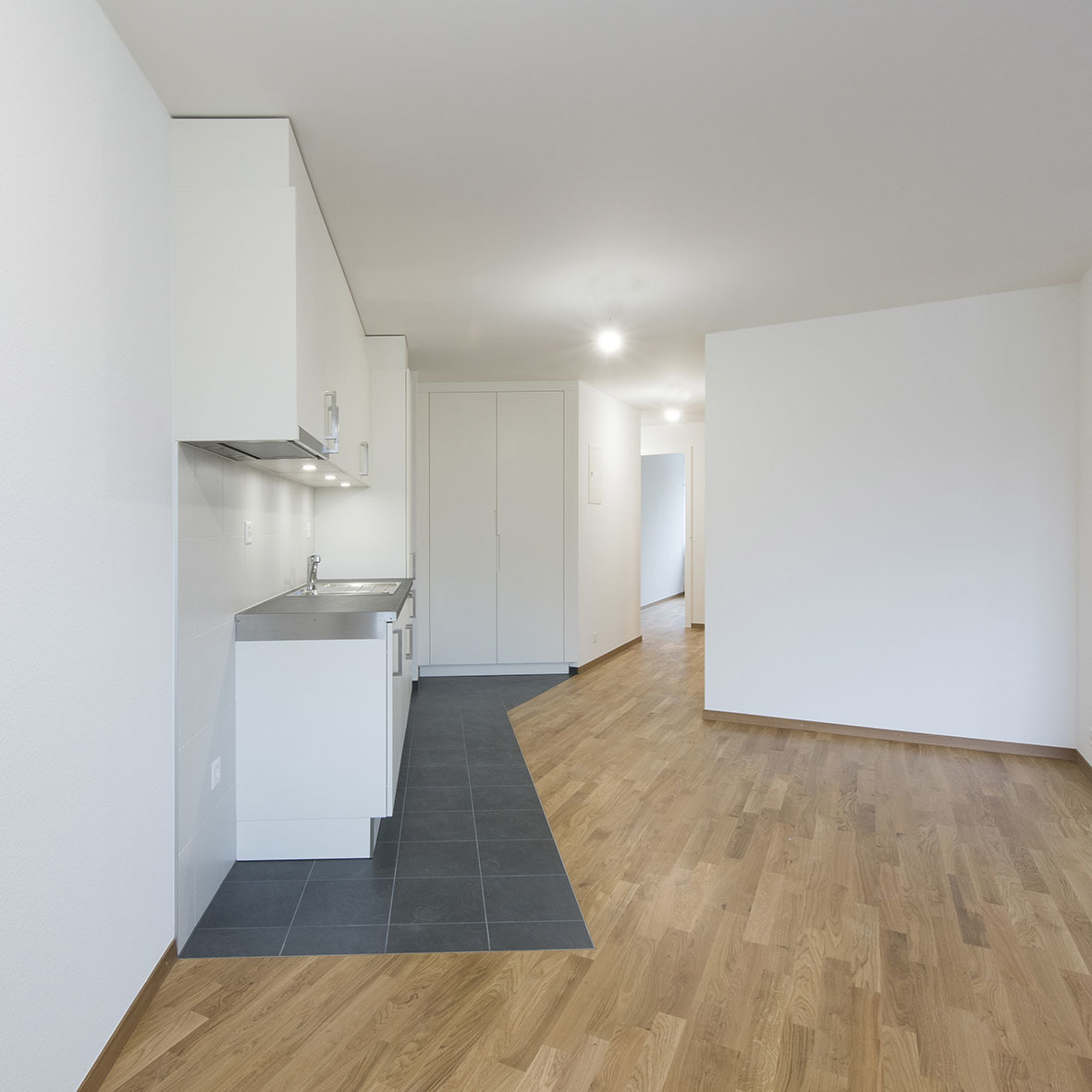 Chapelly 2  20 et 6 bis建筑翻新项目丨瑞士日内瓦-9