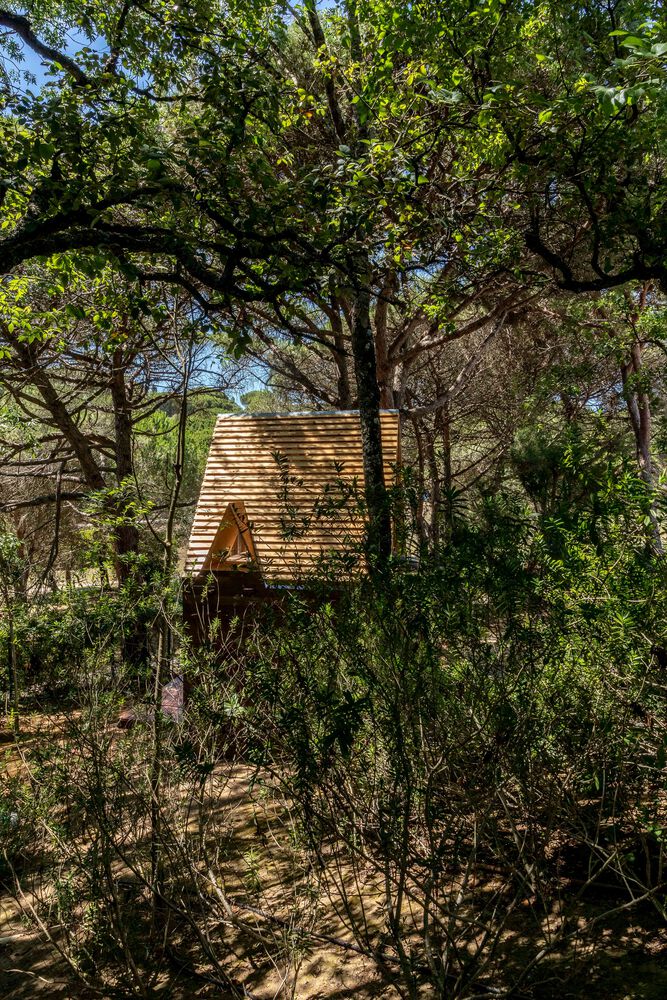 悬浮的木质雕像丨Patina Garden Studio-39