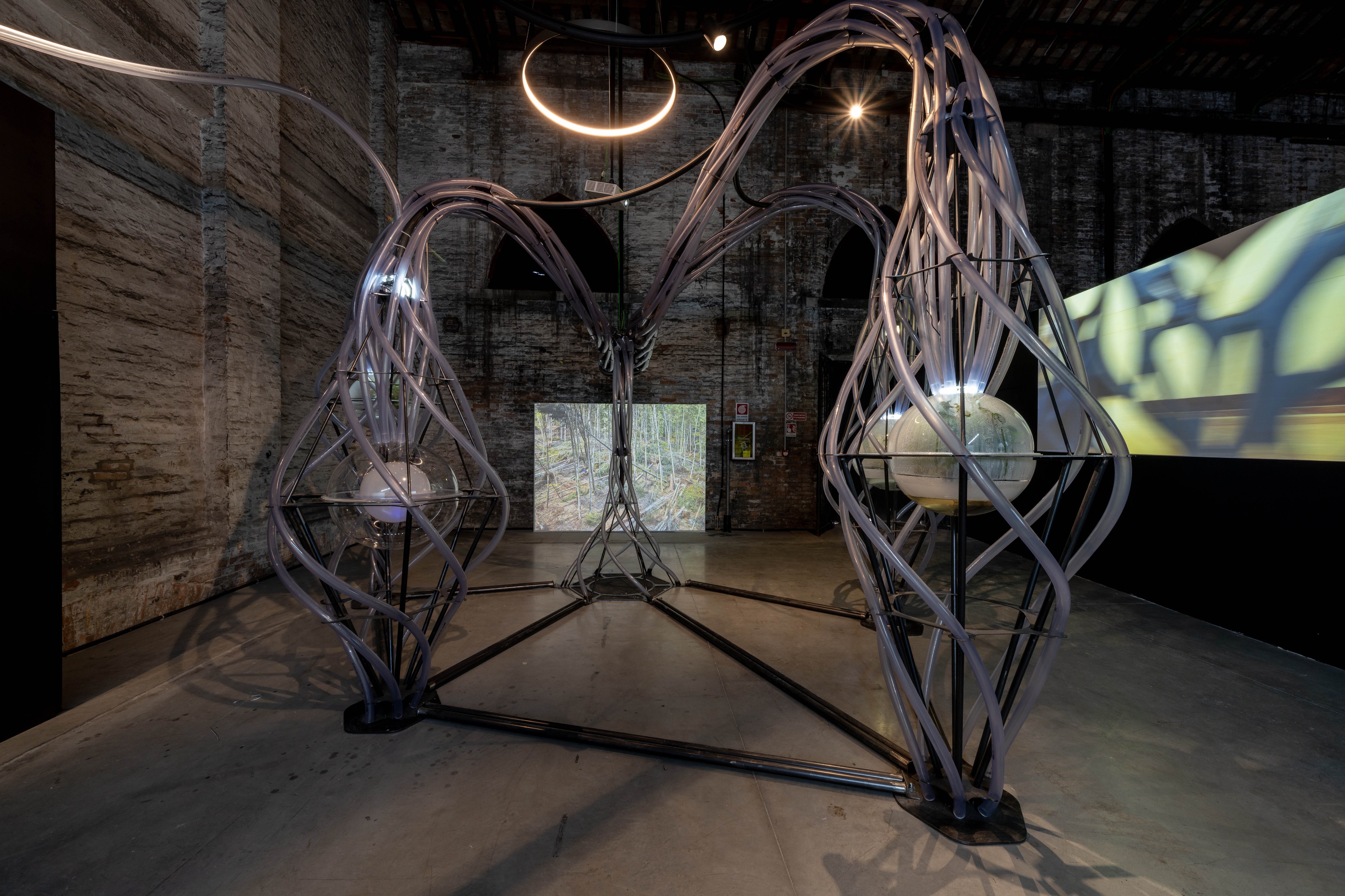 意大利馆丨法国尼斯丨Alessandro Melis-11