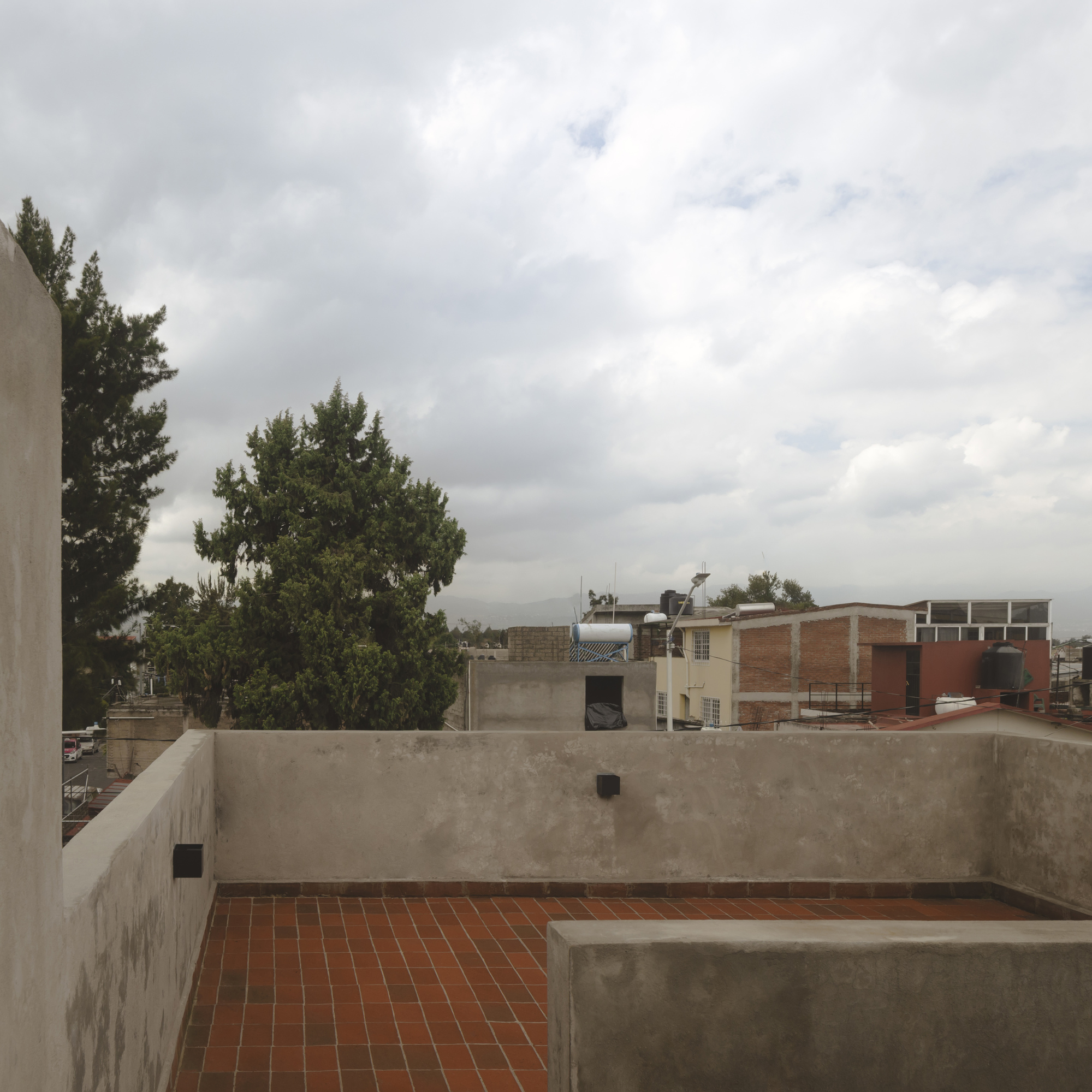 鲨鱼屋丨墨西哥丨TALC-36